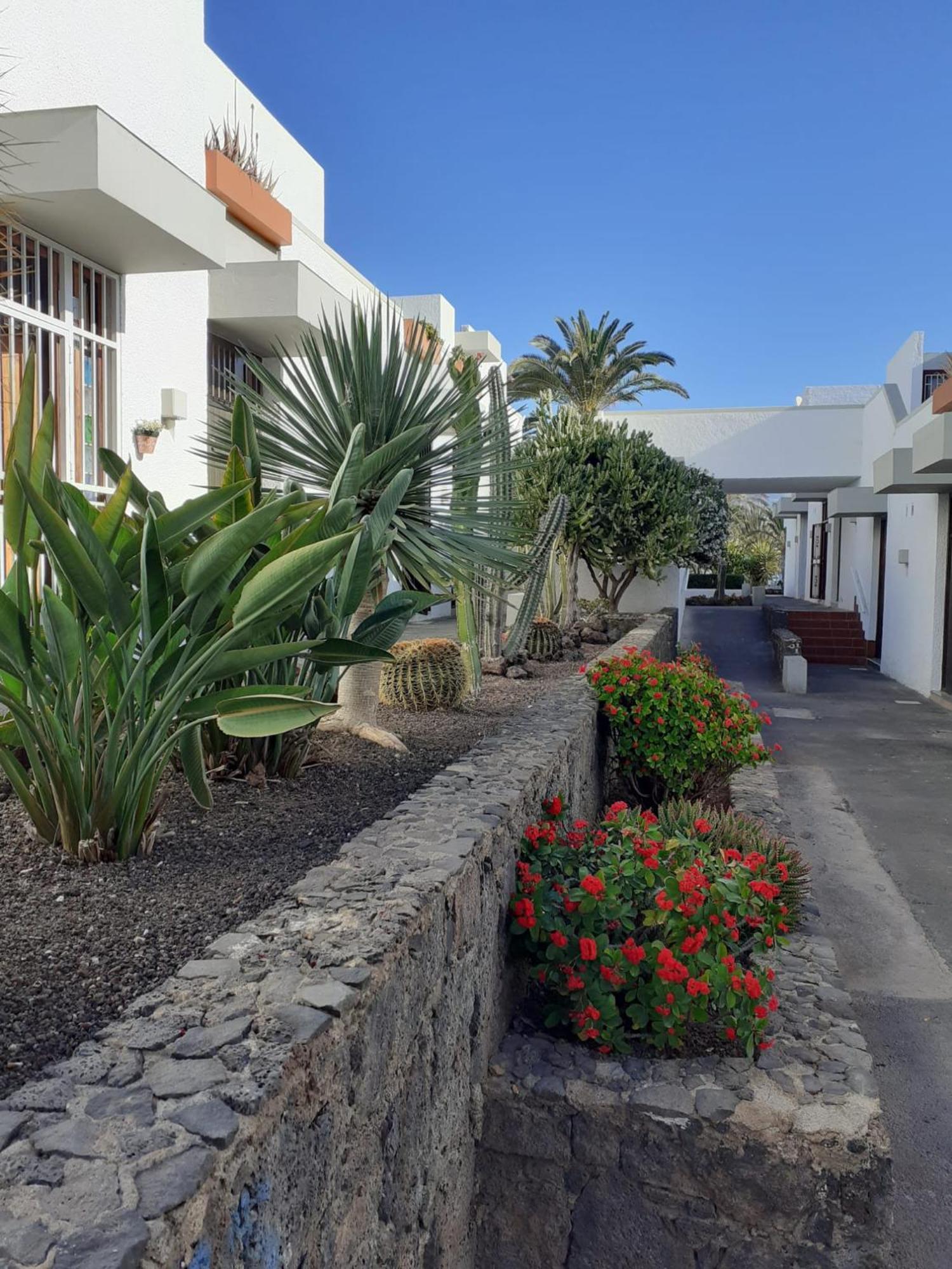 Precioso Apartamento طوستا ديل سيلونثيو المظهر الخارجي الصورة
